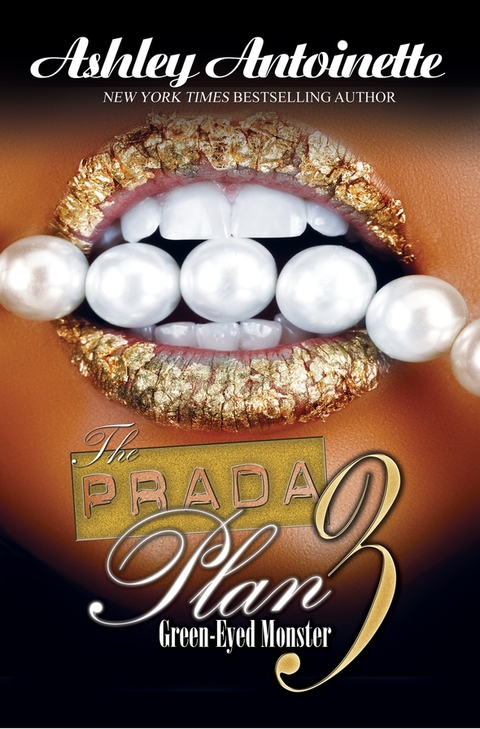 Cover image for book The Prada Plan 3: