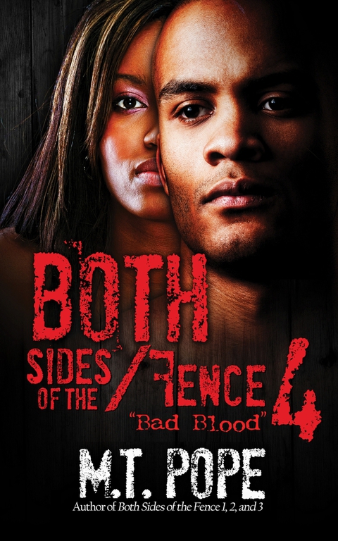 Cover image for book Both Sides of the Fence 4