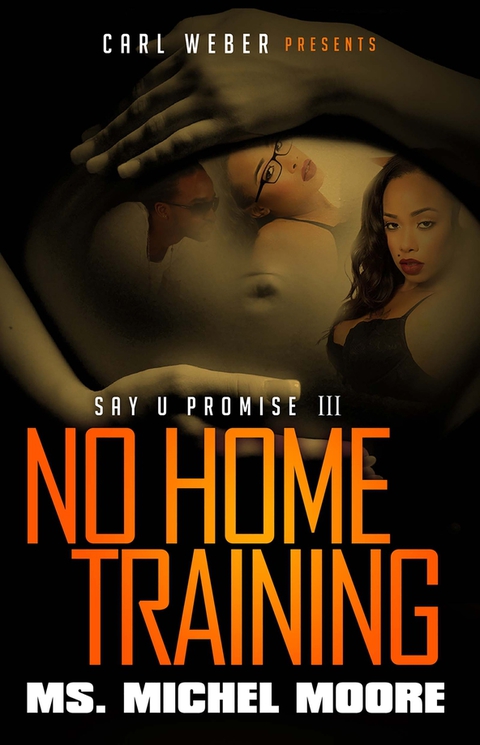 Cover image for book No Home Training