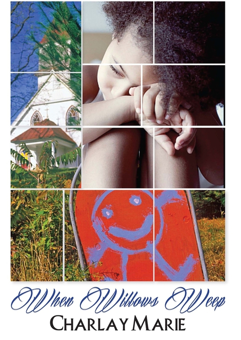 Cover image for book When Willows Weep