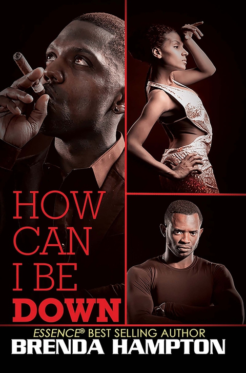 Cover image for book How Can I Be Down?