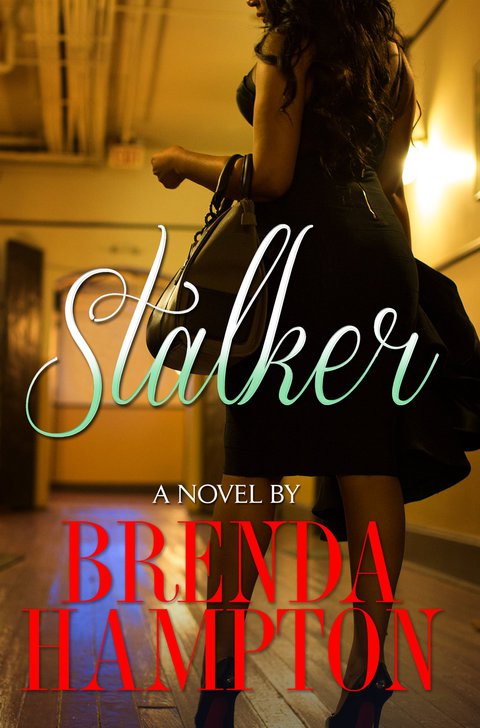 Cover image for book Stalker