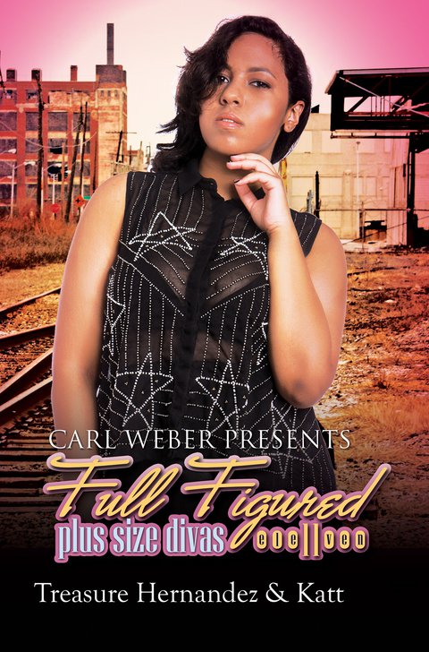 Cover image for book Full Figured 11