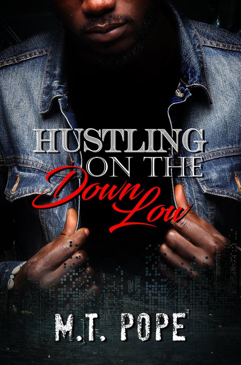 Cover image for book Hustling on the Down Low