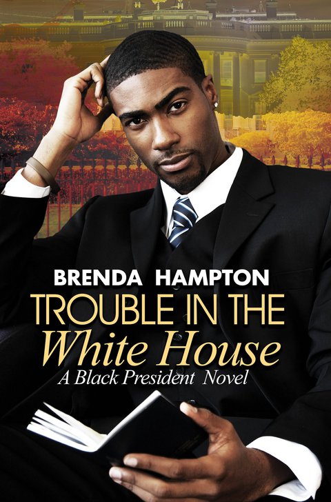 Cover image for book Trouble in the White House