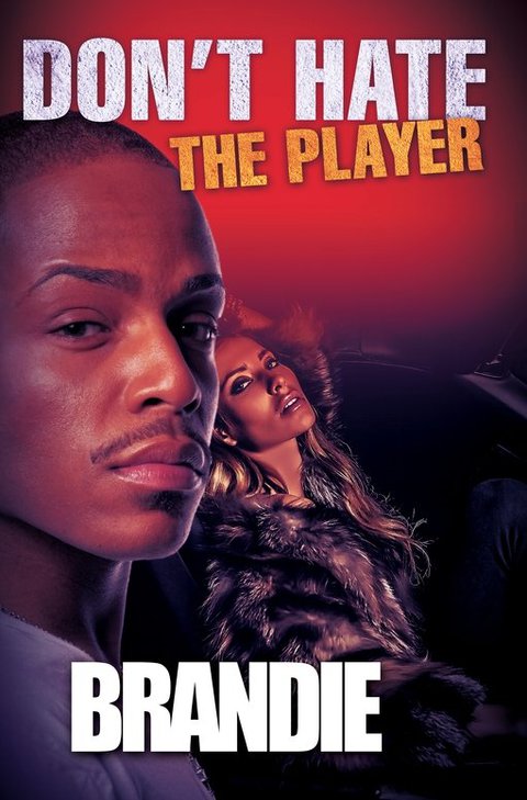 Cover image for book Don't Hate The Player