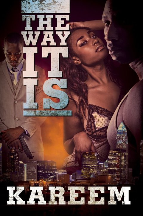 Cover image for book The Way It Is