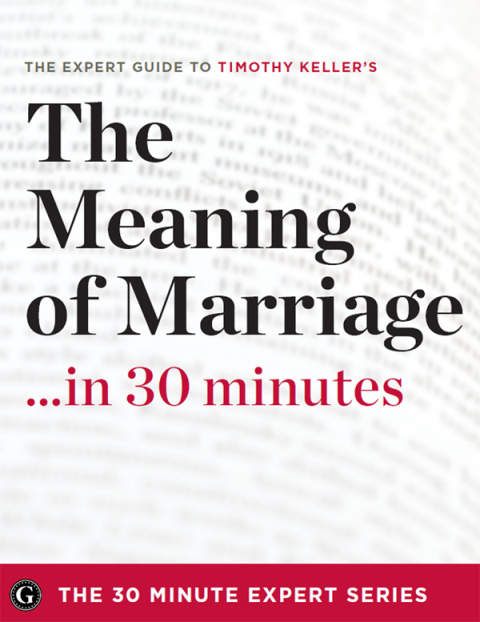 Cover image for book The Meaning of Marriage&nbsp;.&nbsp;.&nbsp;. in 30 Minutes