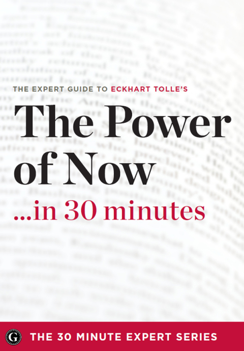 Cover image for book The Power of Now&nbsp;.&nbsp;.&nbsp;. in 30 Minutes