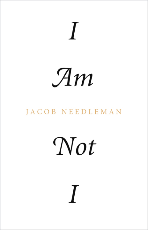 Cover image for book I Am Not I