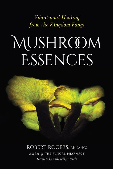 Cover image for book Mushroom Essences