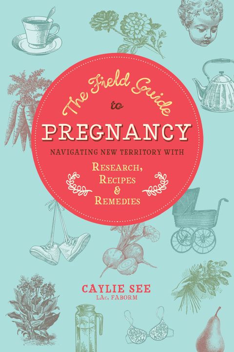 Cover image for book The Field Guide to Pregnancy