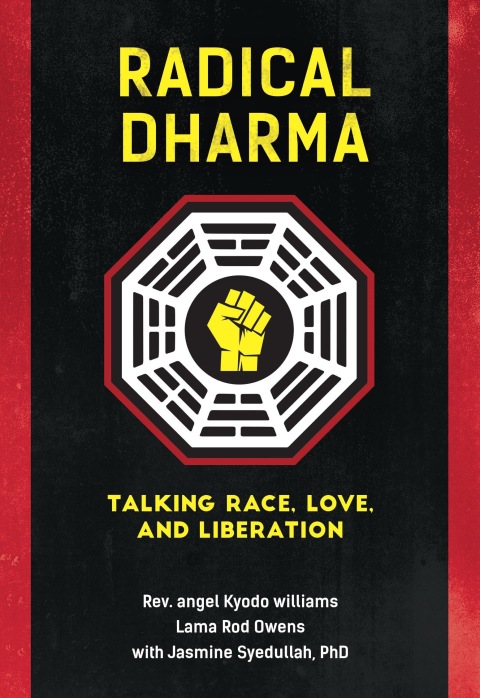 Cover image for book Radical Dharma