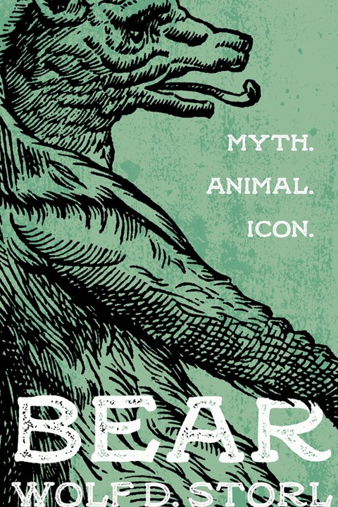 Cover image for book Bear