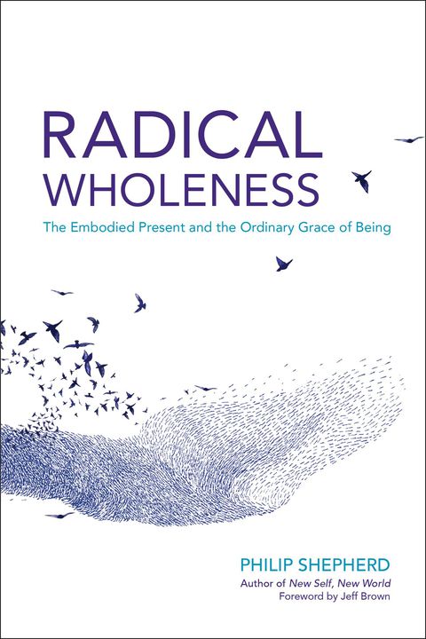 Cover image for book Radical Wholeness