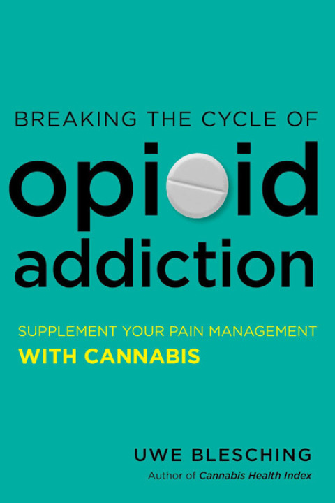 Cover image for book Breaking the Cycle of Opioid Addiction