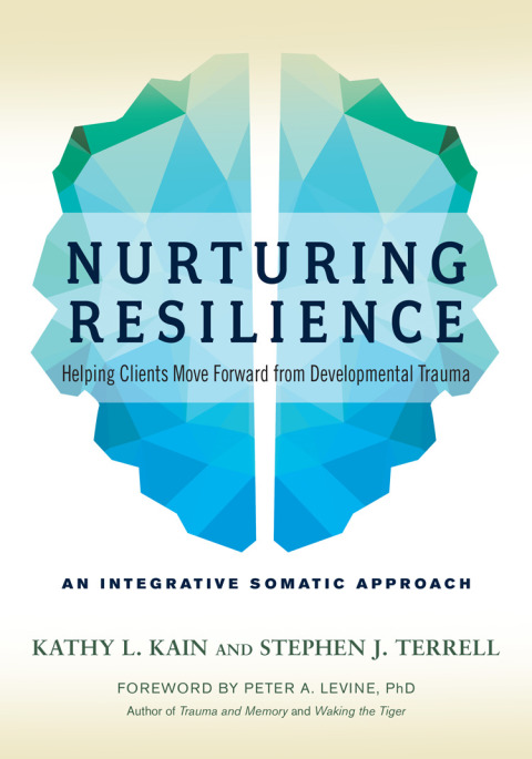 Cover image for book Nurturing Resilience