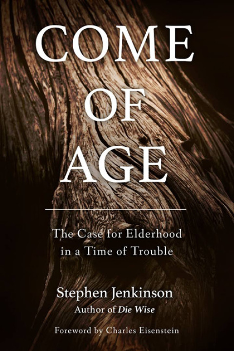 Cover image for book Come of Age