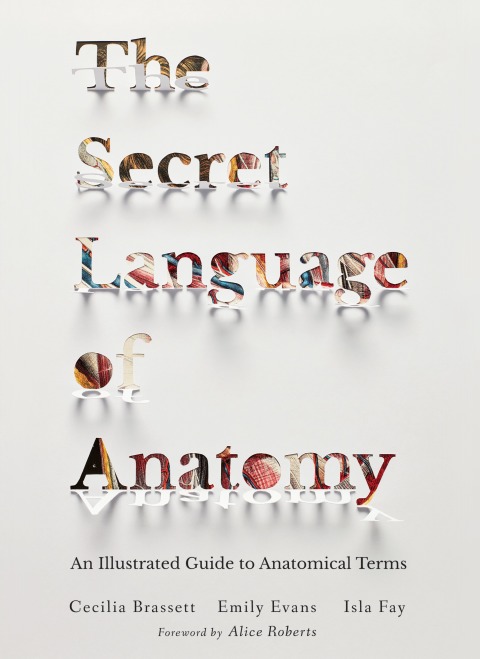 Cover image for book The Secret Language of Anatomy