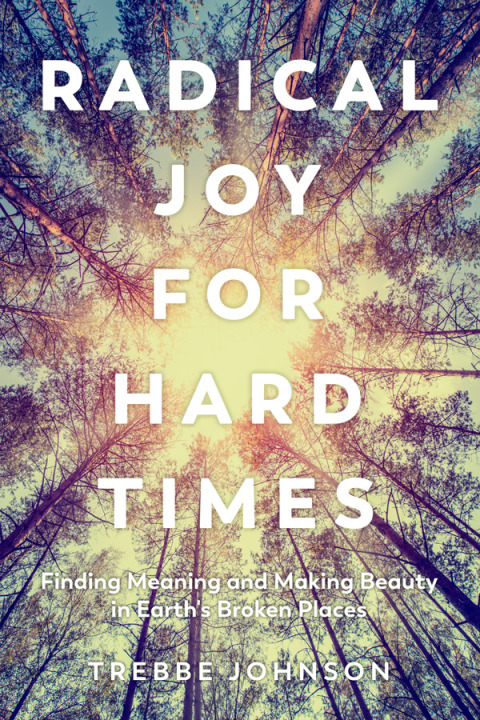 Cover image for book Radical Joy for Hard Times