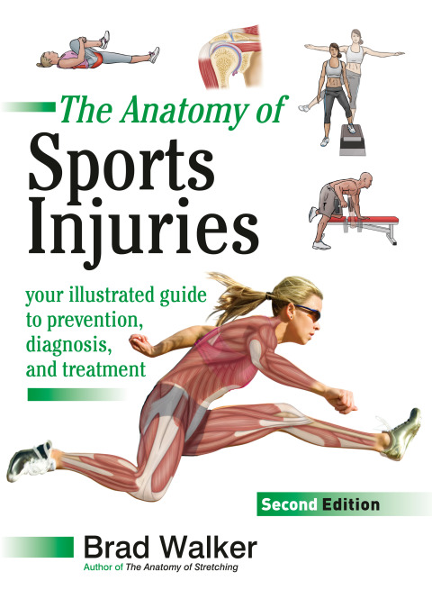 Cover image for book The Anatomy of Sports Injuries