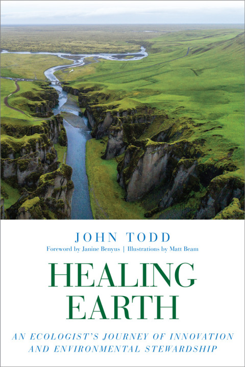 Cover image for book Healing Earth