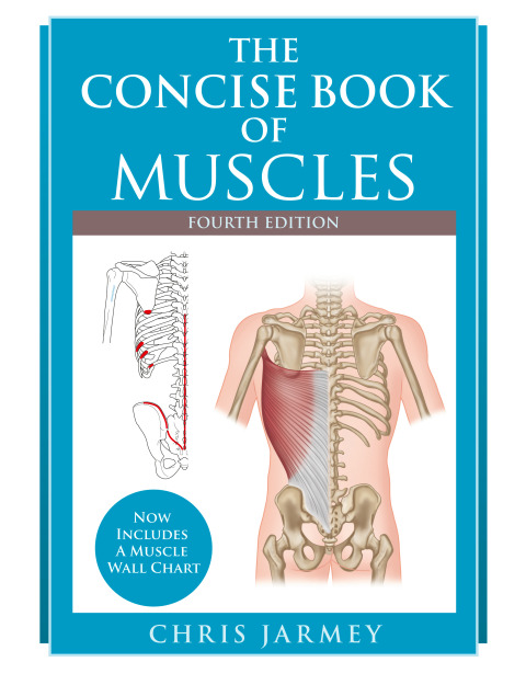 Cover image for book The Concise Book of Muscles