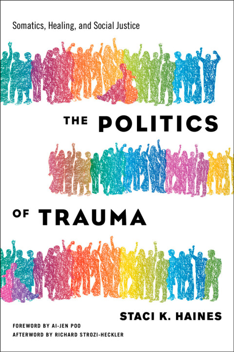Cover image for book The Politics of Trauma