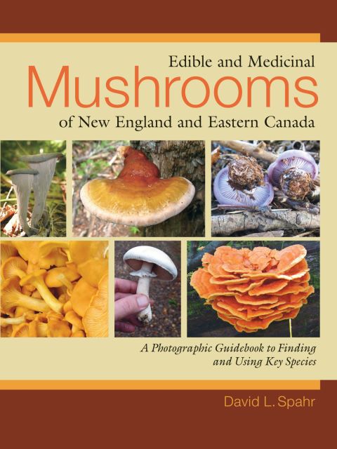 Cover image for book Edible and Medicinal Mushrooms of New England and Eastern Canada