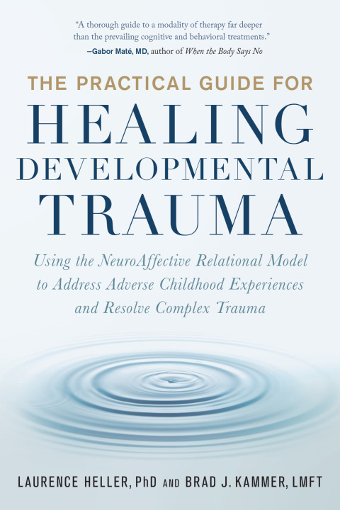 Cover image for book The Practical Guide for Healing Developmental Trauma