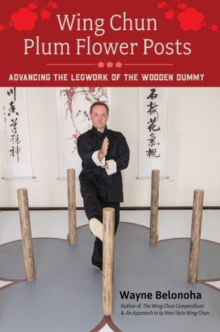 Wing Chun Plum Flower Posts