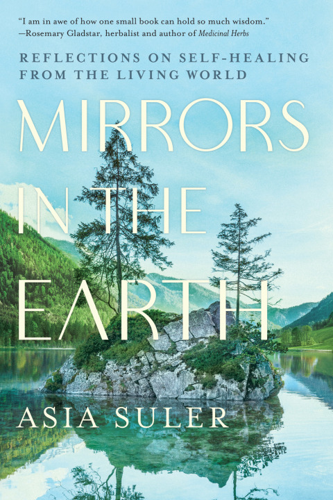 Cover image for book Mirrors in the Earth