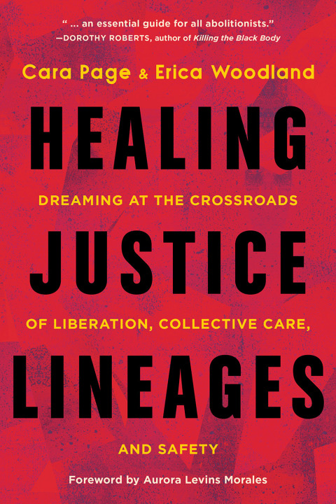 Cover image for book Healing Justice Lineages
