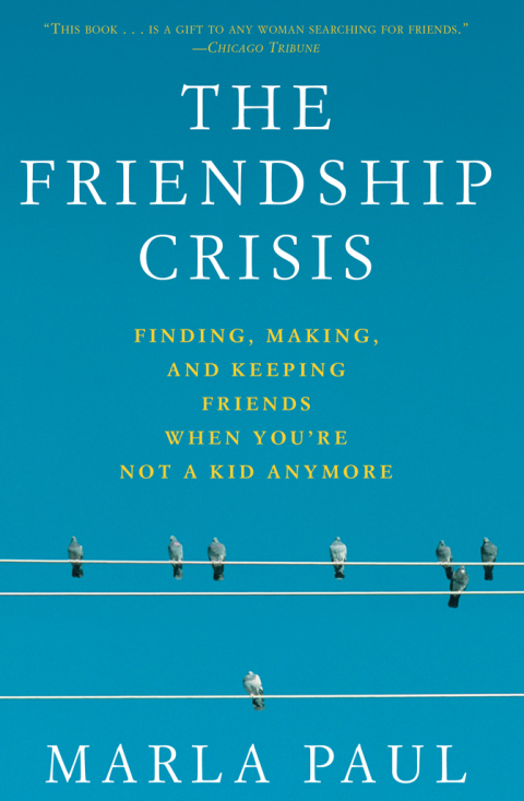 Cover image for book The Friendship Crisis