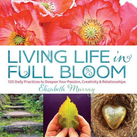 Cover image for book Living Life in Full Bloom