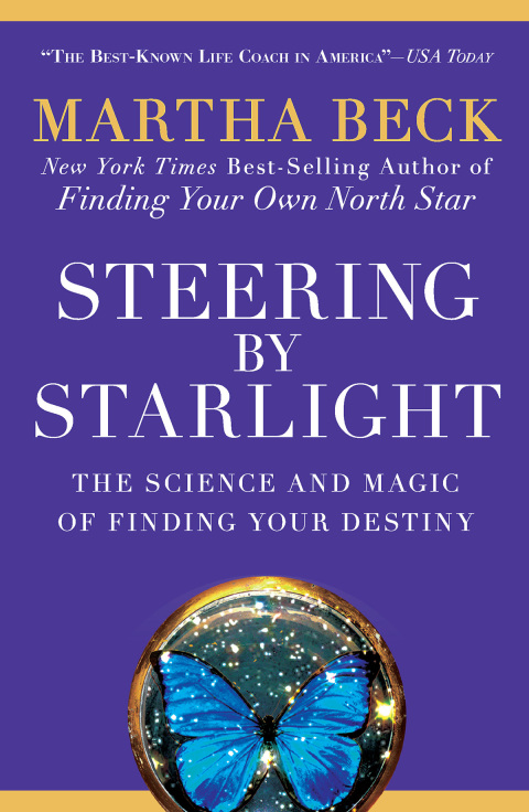 Cover image for book Steering by Starlight