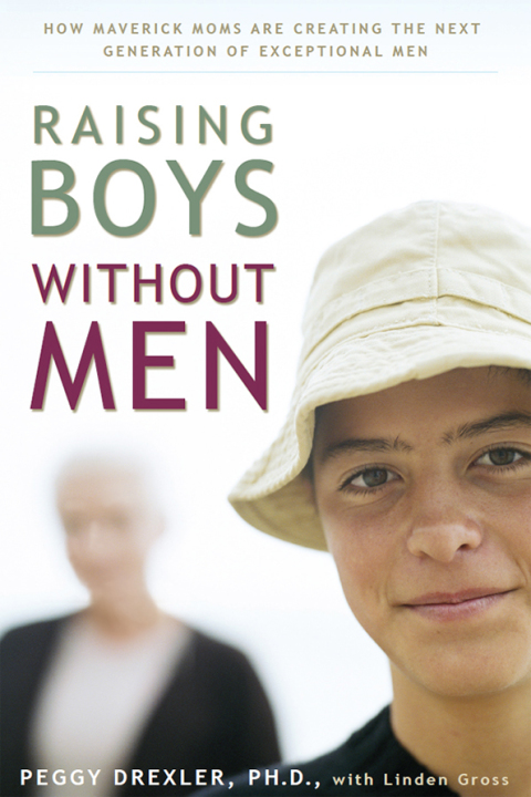 Cover image for book Raising Boys without Men
