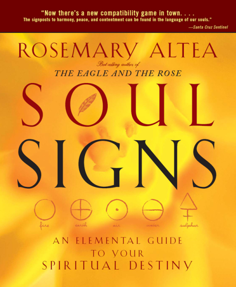 Cover image for book Soul Signs