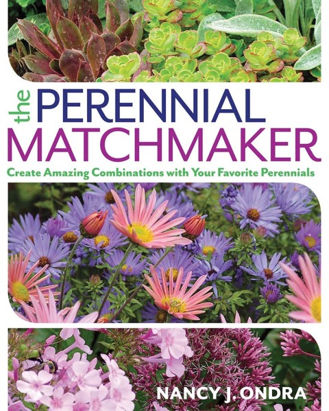 Cover image for book The Perennial Matchmaker