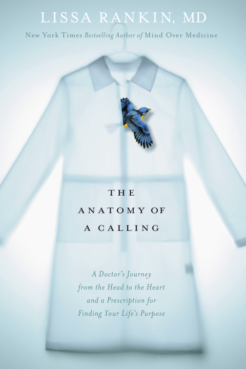 Cover image for book The Anatomy of a Calling