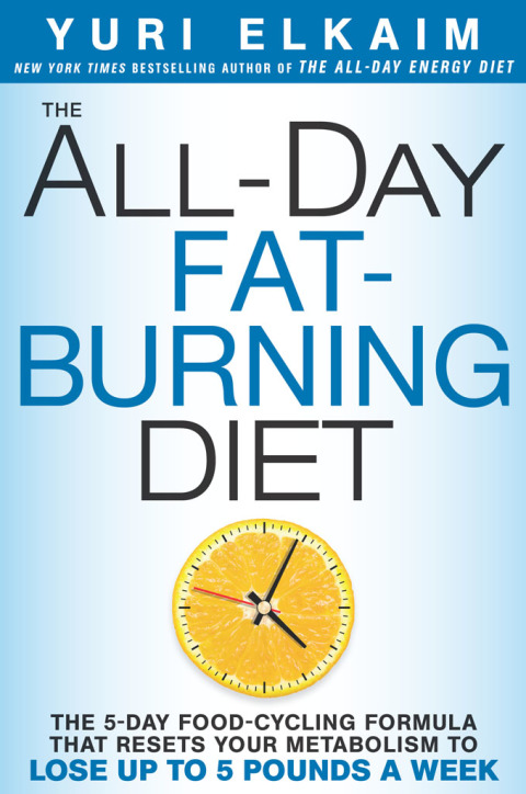 Cover image for book The All-Day Fat-Burning Diet