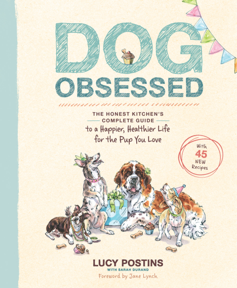 Cover image for book Dog Obsessed