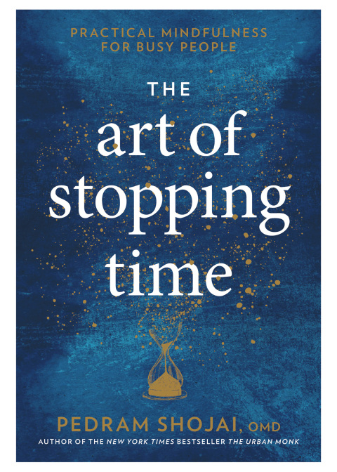 Cover image for book The Art of Stopping Time