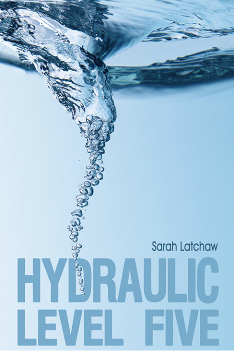 Cover image for book Hydraulic Level 5