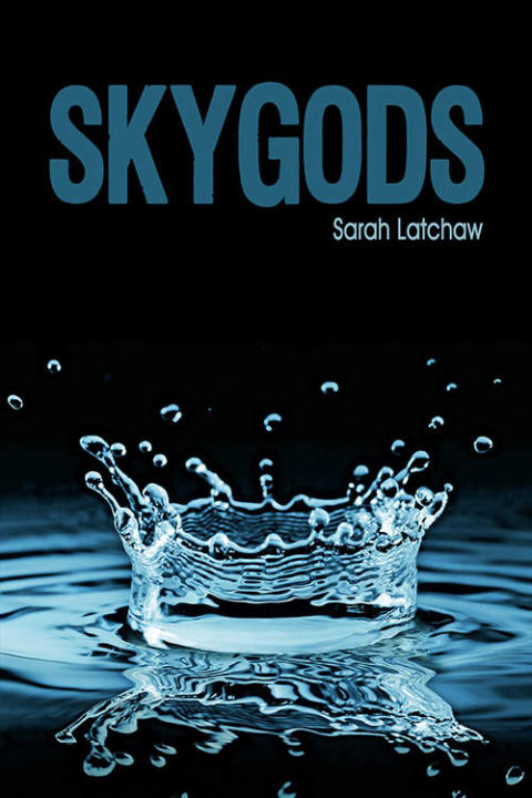 Cover image for book Skygods