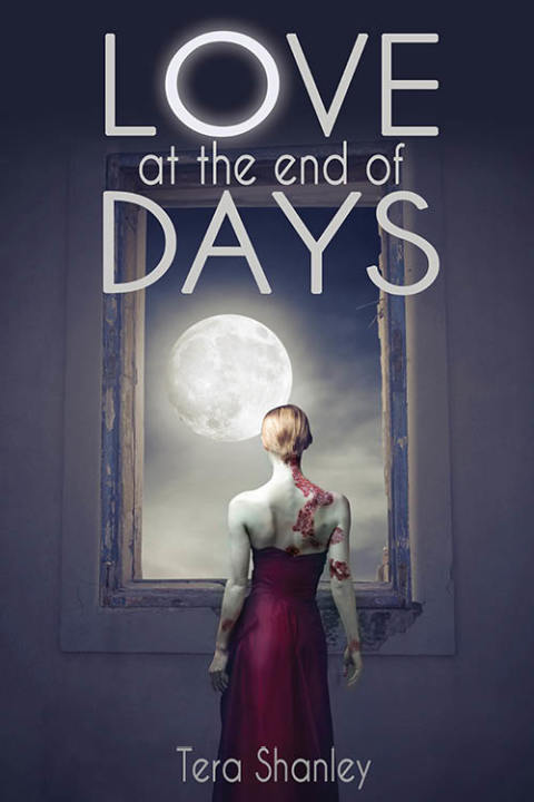 Cover image for book Love at the End of Days