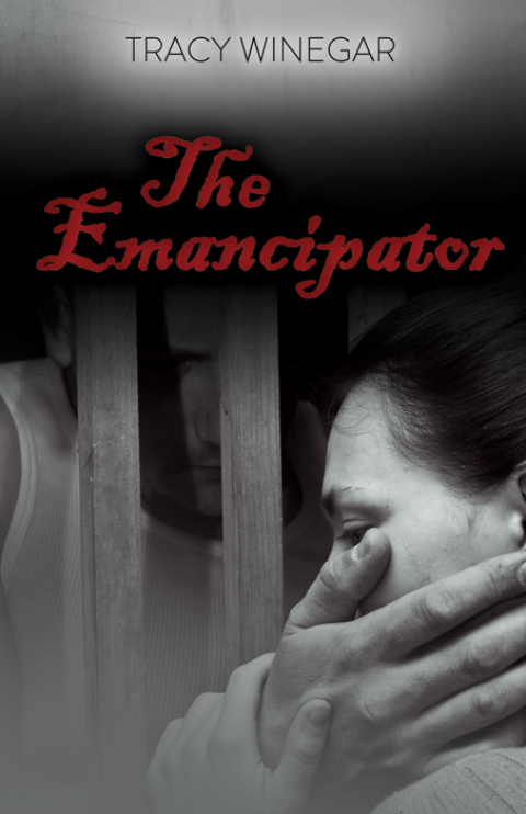 Cover image for book The Emancipator