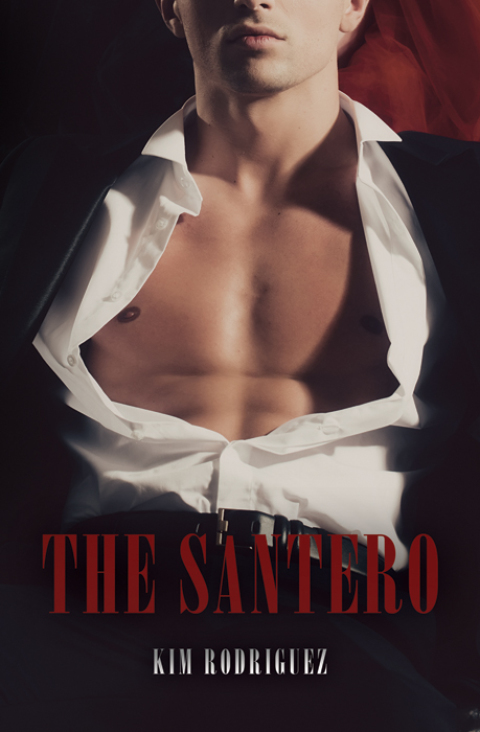 Cover image for book The Santero