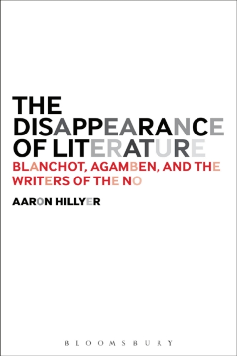 Cover image for book The Disappearance of Literature
