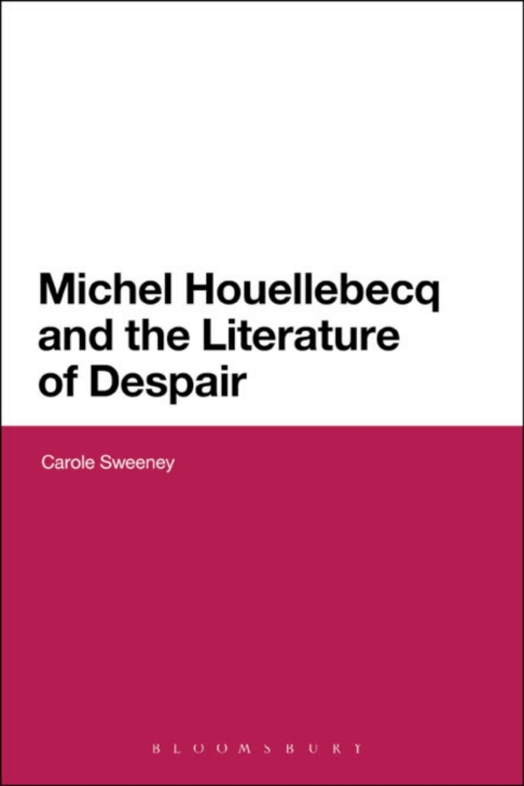 Cover image for book Michel Houellebecq and the Literature of Despair